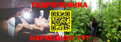 индика Рузаевка