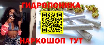 индика Рузаевка