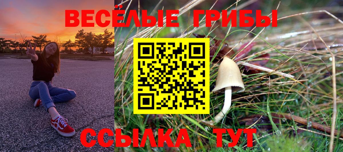 Псилоцибиновые грибы GOLDEN TEACHER  Вход с VPN  Новокубанск 